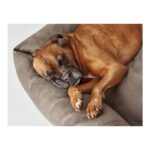 Καναπές Σκύλου Hunter Bologna Συνθετικό Δέρμα Γκρι (50 x 35 cm)