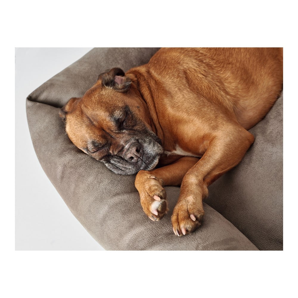 Καναπές Σκύλου Hunter Bologna Συνθετικό Δέρμα Γκρι (70 x 50 cm)