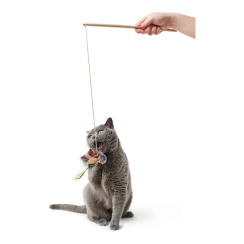 Μπαστούνι για Γάτες Hunter Limana Cushion γρασίδι για την γάτα (32 cm)