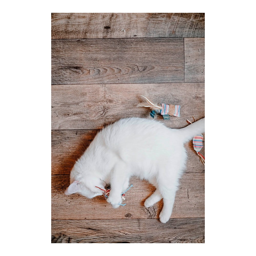 Μπαστούνι για Γάτες Hunter Limana Cushion γρασίδι για την γάτα (32 cm)