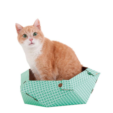 παιχνίδι για γάτες United Pets Oliver Πράσινο Κουτί Χαρτόνι (45 x 45 x 25 cm)