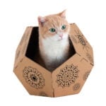 παιχνίδι για γάτες United Pets Tiger Καφέ Κουτί Χαρτόνι (45 x 47 x 38 cm)