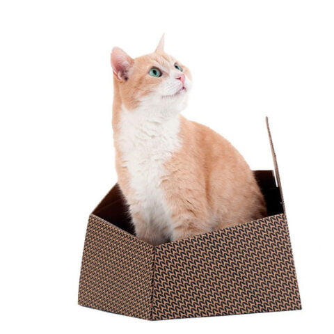 παιχνίδι για γάτες United Pets Kitty Καφέ Κουτί Χαρτόνι (30 x 30 x 32 cm)