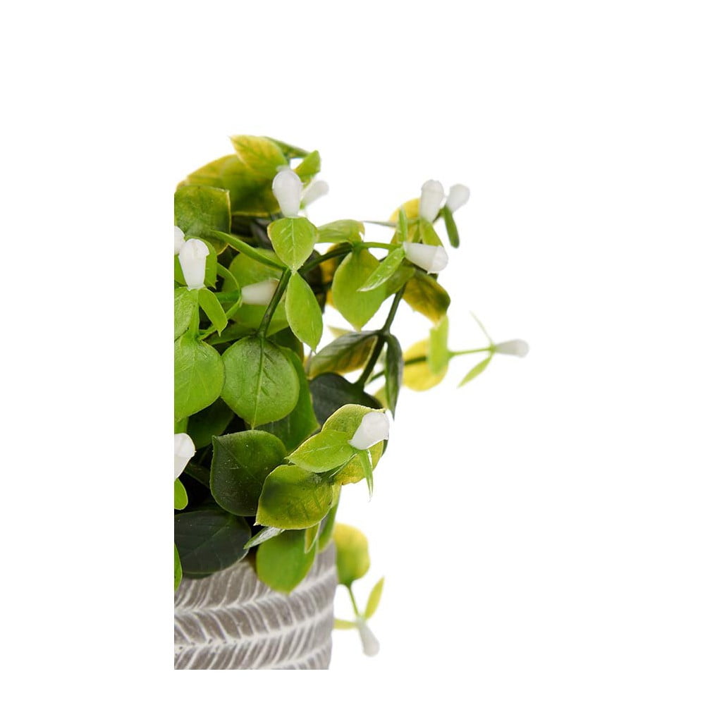Διακοσμητικό Φυτό Blomster Πλαστική ύλη (10 x 19 x 10 cm)