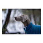 Παλτό Σκύλου TicWatch Puffer 45 cm