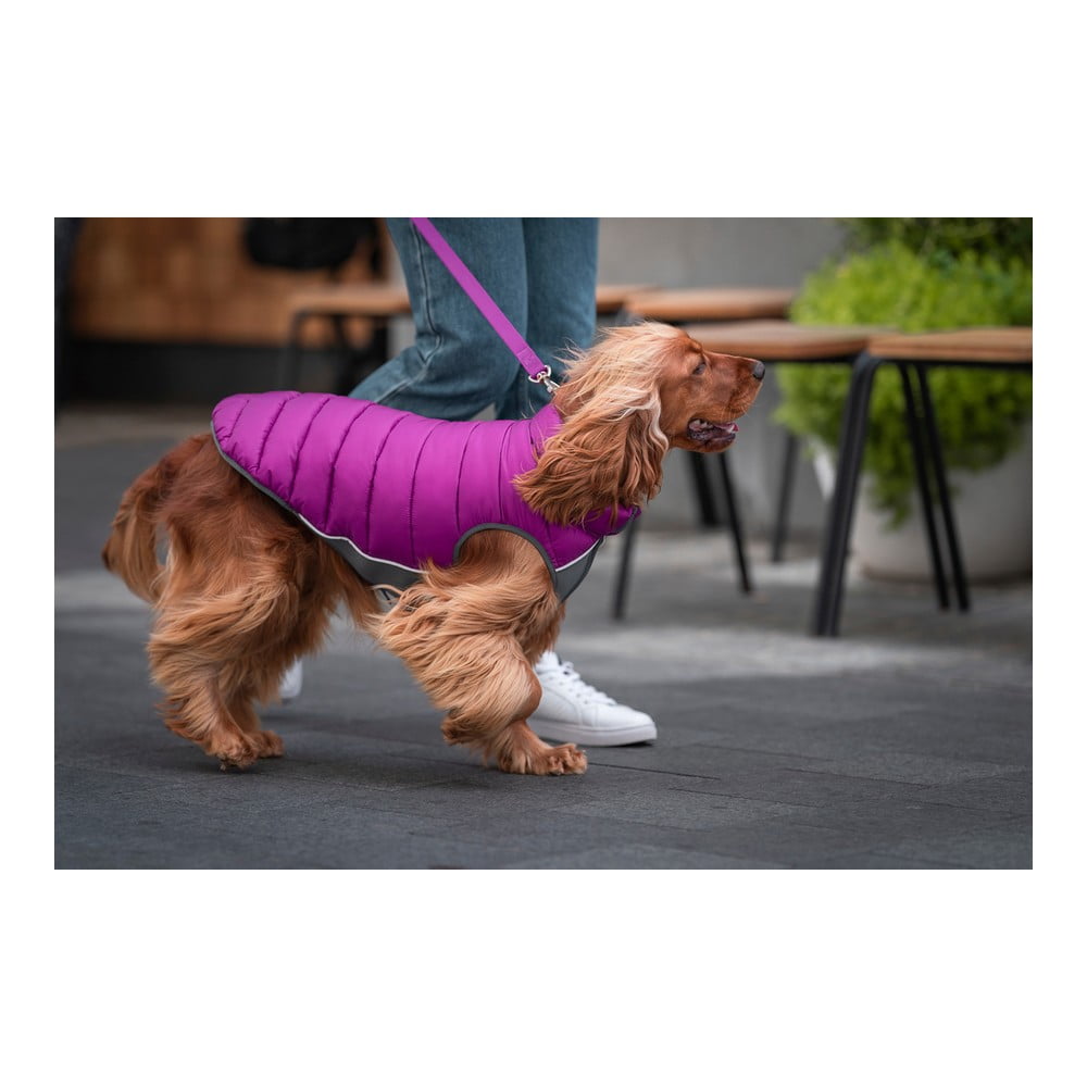 Παλτό Σκύλου TicWatch Puffer Ροζ/Μωβ 35 cm