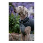 Παλτό Σκύλου TicWatch Puffer Μαύρο/Γκρι 25 cm