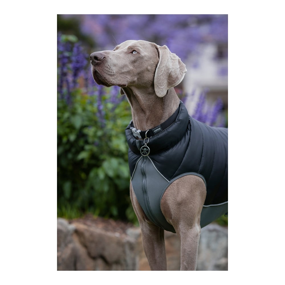 Παλτό Σκύλου TicWatch Puffer Μαύρο/Γκρι 35 cm