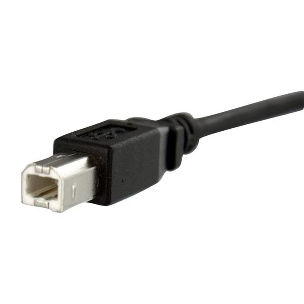 Καλώδιο USB Startech USBPNLBFBM3          Μαύρο