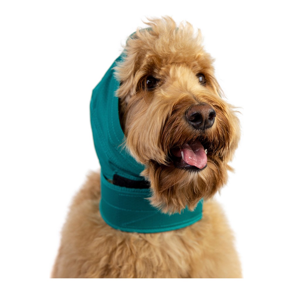 Προστατευτικό Aυτιών για Σκύλους KVP Πράσινο Μέγεθος L