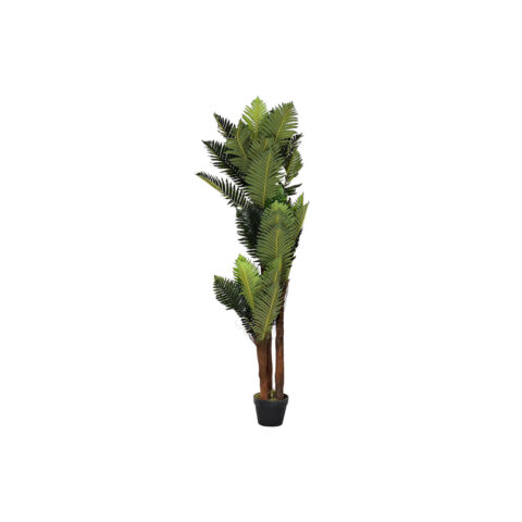 Διακοσμητικό Φυτό DKD Home Decor Πράσινο PE (40 x 40 x 150 cm)
