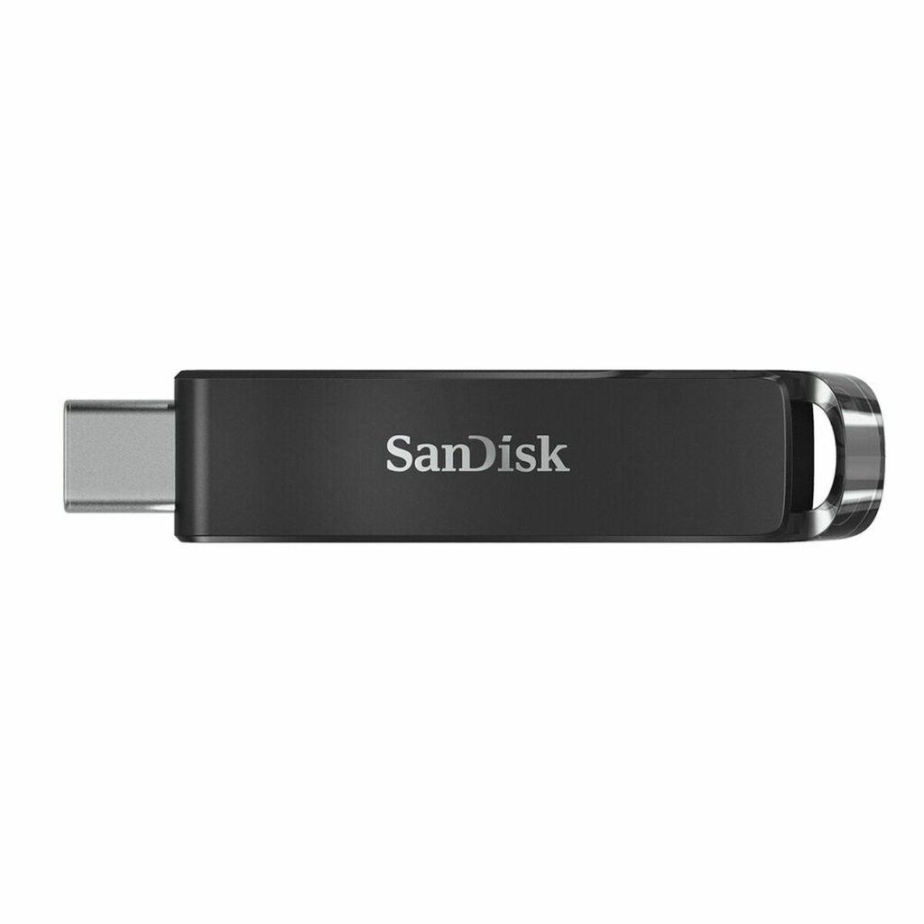 Στικάκι USB SanDisk SDCZ460-256G-G46 Μαύρο 256 GB