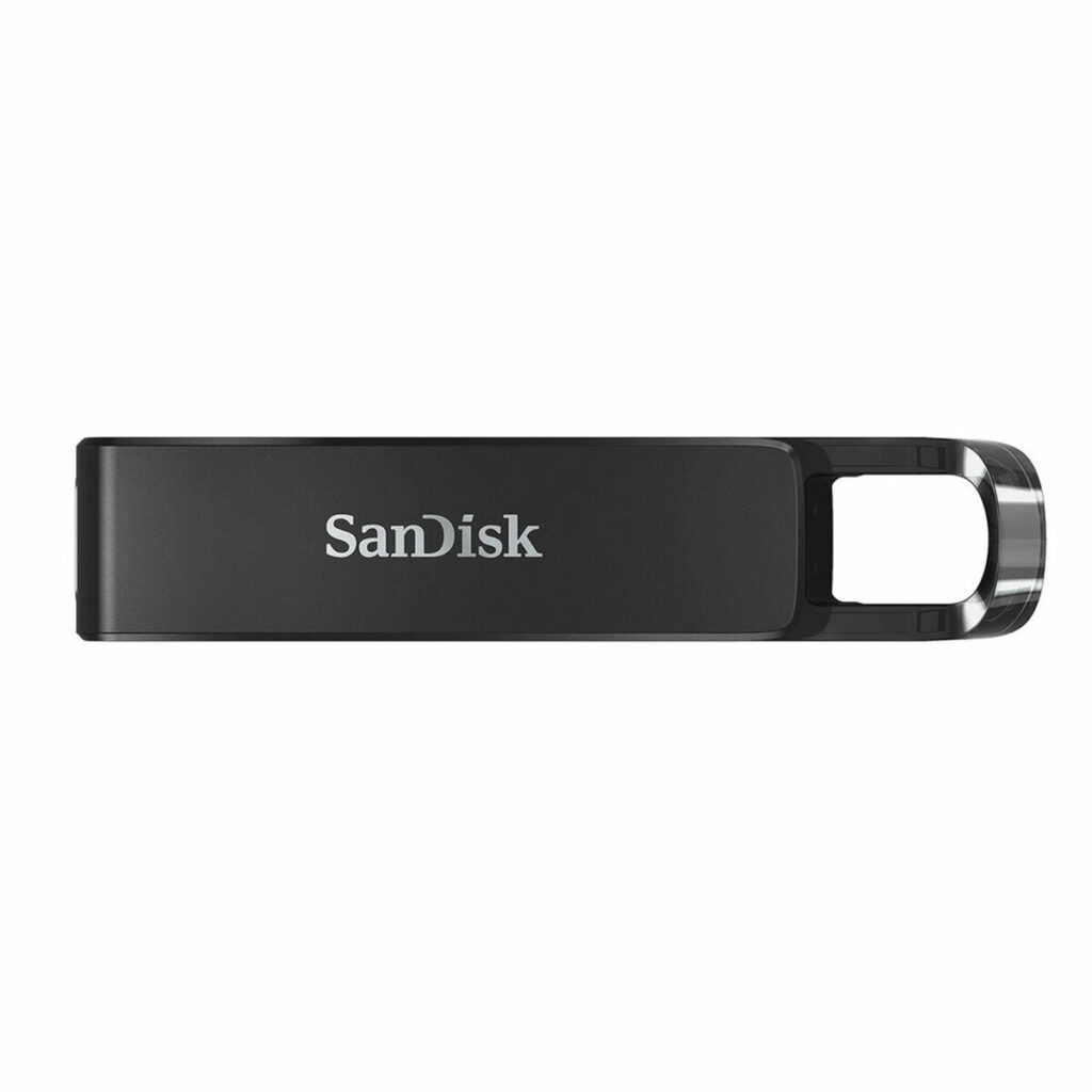Στικάκι USB SanDisk SDCZ460-256G-G46 Μαύρο 256 GB