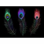 Δίσκος DKD Home Decor 8424001892549 48 x 38 x 7 cm Μαύρο Πολύχρωμο PVC