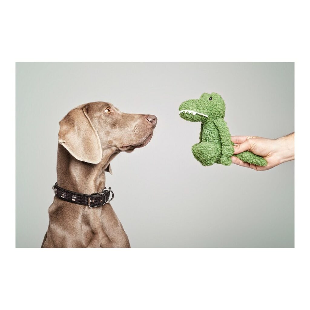 Παιχνίδια για Σκύλους Gloria Pinky Κροκόδειλος Πράσινο