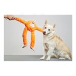 Παιχνίδια για Σκύλους Gloria Kika Πορτοκαλί Μαϊμού