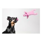 Παιχνίδια για Σκύλους Gloria Dogmonsters Ροζ Γουρούνι 34 x 9 cm