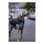 Παλτό Σκύλου Red Dingo Puffer Μαύρο/Γκρι 25 cm