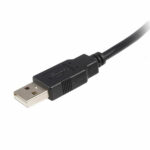 Καλώδιο USB A σε USB B Startech USB2HAB1M            Μαύρο