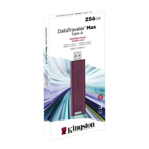 Στικάκι USB Kingston DTMAXA/256GB 256 GB