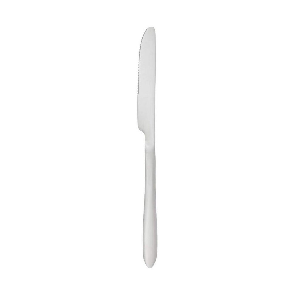Μαχαίρι τραπεζιού Secret de Gourmet Ανοξείδωτο ατσάλι 24 cm 2 Τεμάχια