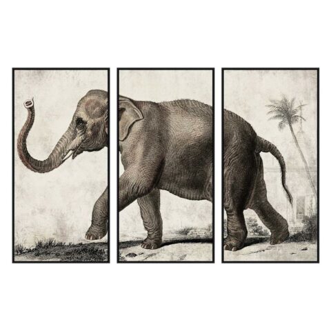 Καμβάς DKD Home Decor 3 Τεμάχια Ελέφαντας Αποικιακό (180 x 4 x 120 cm)