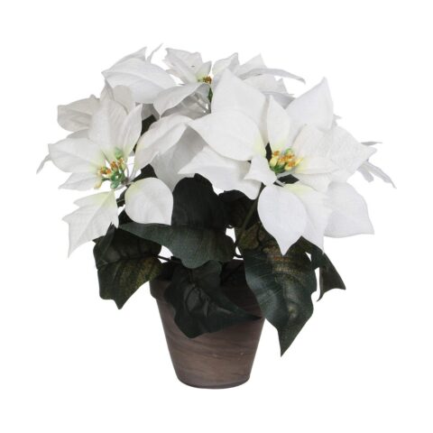 Διακοσμητικό Φυτό Λευκό PVC (27 X 35 CM)