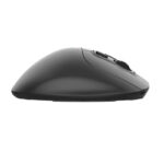 Wireless Ergonomic Mouse Delux MT1 DB BT+2.4G (black)