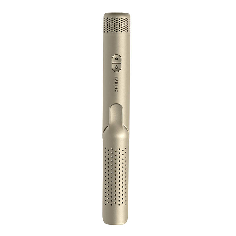 2-in-1 Hair Curler and Straightener ZHIBAI VL620 (gold)