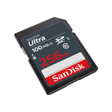 Κάρτα Μνήμης Micro SD με Αντάπτορα SanDisk SDSDUNR 256 GB