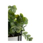 Διακοσμητικό Φυτό Λευκό Κρέμα Κακάο Με υποστήριξη Μέταλλο Πλαστική ύλη (13 x 40 x 13 cm)