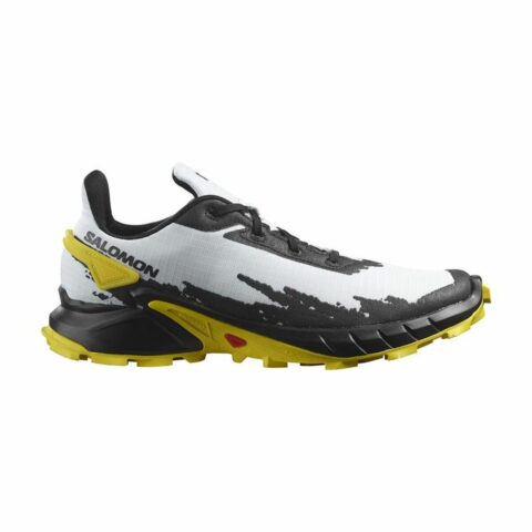 Παπούτσια για Tρέξιμο για Ενήλικες Salomon Alphacross 4 Gore-Tex Μαύρο/Γκρι Άντρες