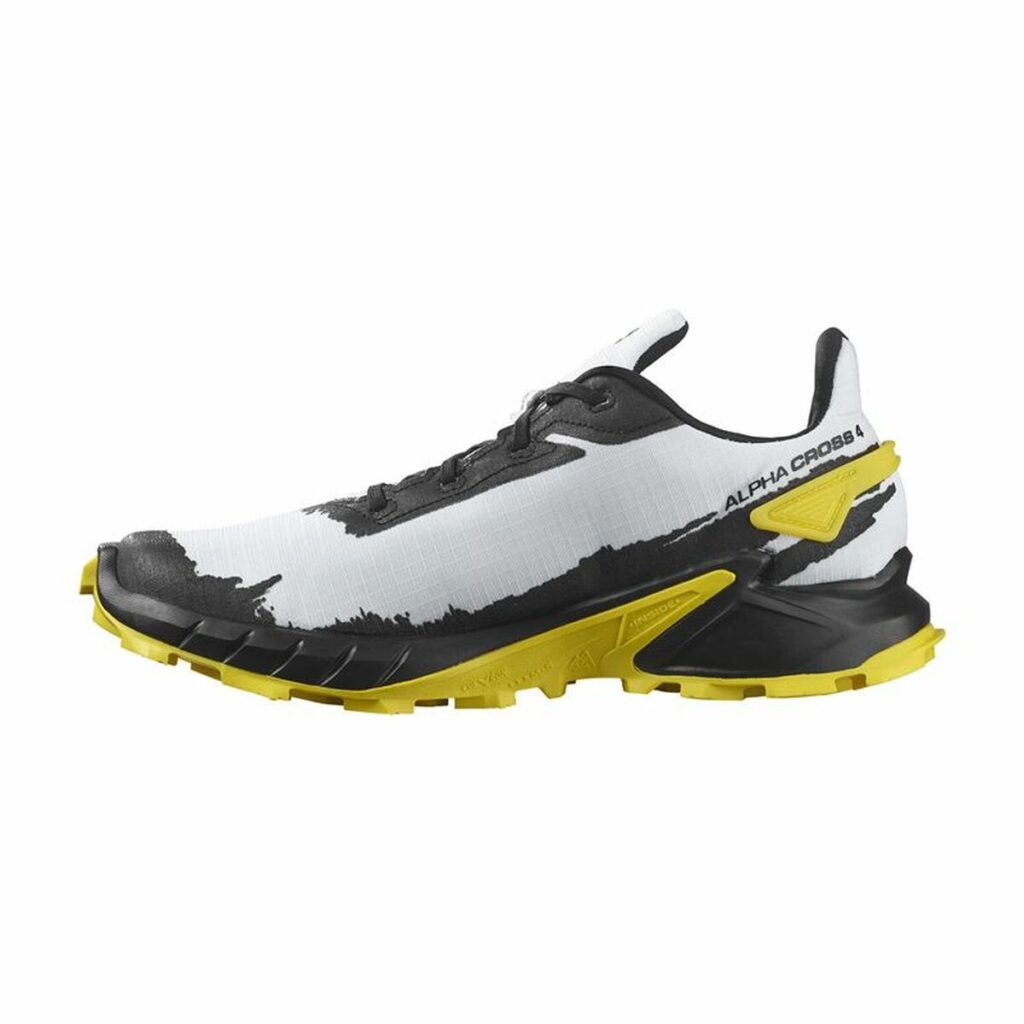 Παπούτσια για Tρέξιμο για Ενήλικες Salomon Alphacross 4 Gore-Tex Μαύρο/Γκρι Άντρες