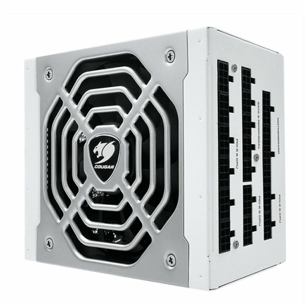 Τροφοδοσία Ρεύματος Cougar Polar1050W 1050 W Ενότητες