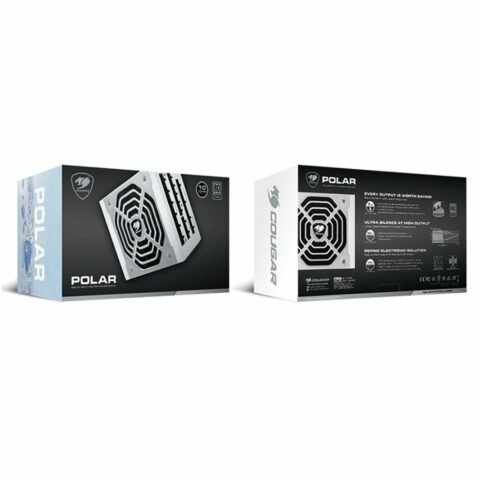 Τροφοδοσία Ρεύματος Cougar Polar1050W 1050 W Ενότητες