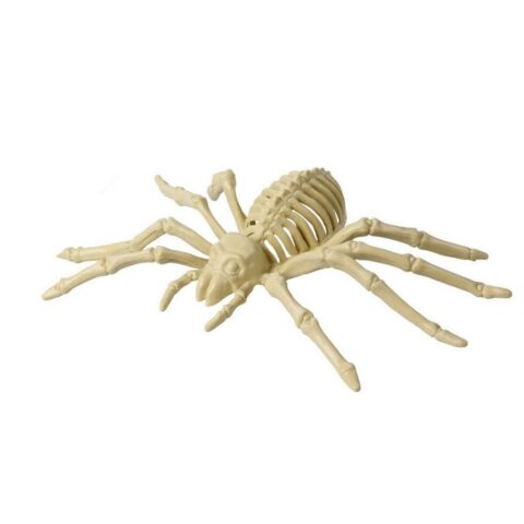 Αποκριάτικη Διακόσμηση Αράχνη 24 x 12 cm