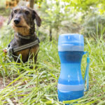 Μπουκάλι με Δοχείο Νερού και Τροφίμων για Κατοικίδια ζώα μου 2 σε 1 Pettap InnovaGoods