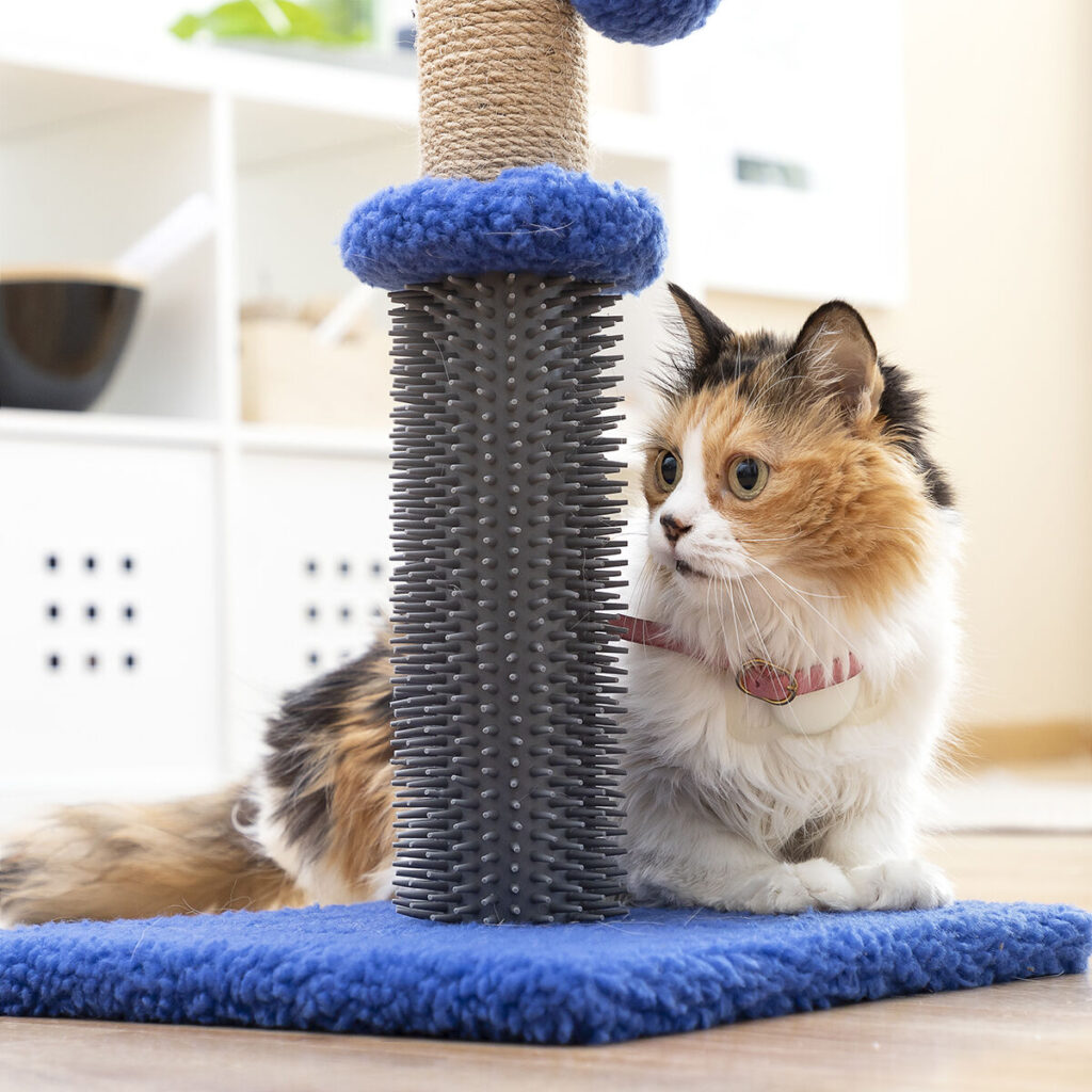 Ράβδος Ξύστης Μασέρ με Μπάλα για Γάτες Miausage InnovaGoods