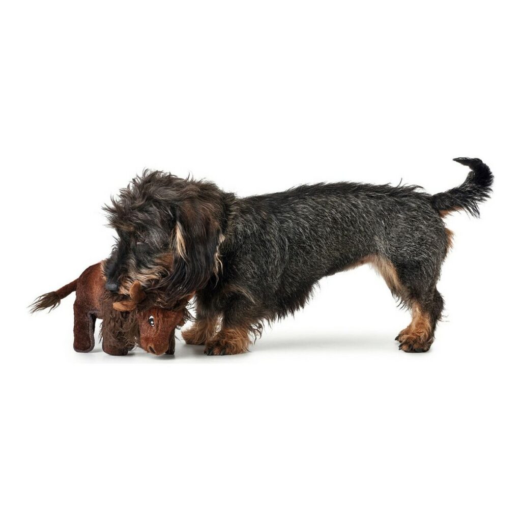 Βελούδινο Ζωάκι για Σκύλους Hunter Tough Kamerun Βόνασος (24 cm)