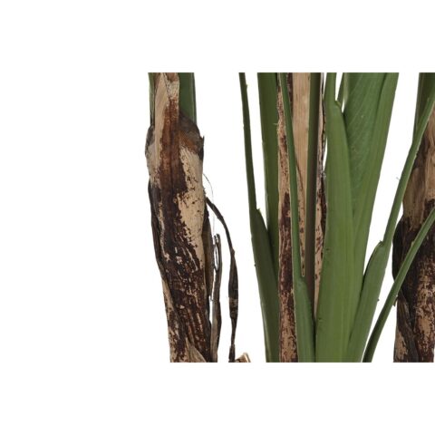 Διακοσμητικό Φυτό DKD Home Decor (90 x 90 x 200 cm)