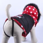 Παλτό Σκύλου Minnie Mouse Κόκκινο Μαύρο M