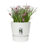 Βάζο Λουλουδιών Elho Greenville Στρογγυλή Λευκό Πλαστική ύλη (Ø 29
