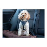 Λουρί Σκύλου Company of Animals CarSafe Μαύρο L