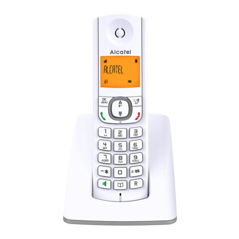 Ασύρματο Τηλέφωνο Alcatel F530SG Γκρι Λευκό/Γκρι