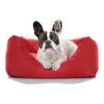 Καναπές Σκύλου Hunter Gent Κόκκινο πολυεστέρας (60 x 45 cm)