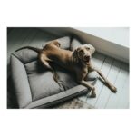 Καναπές Σκύλου Hunter Prag Γκρι 50 x 35 cm