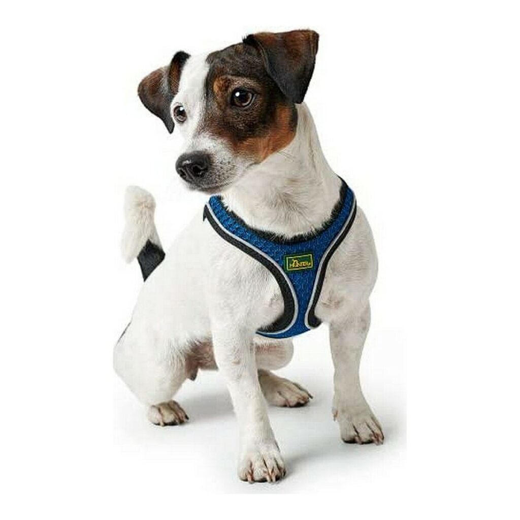 Λουρί Σκύλου Hunter Hilo-Comfort Μπλε (30-35 cm)