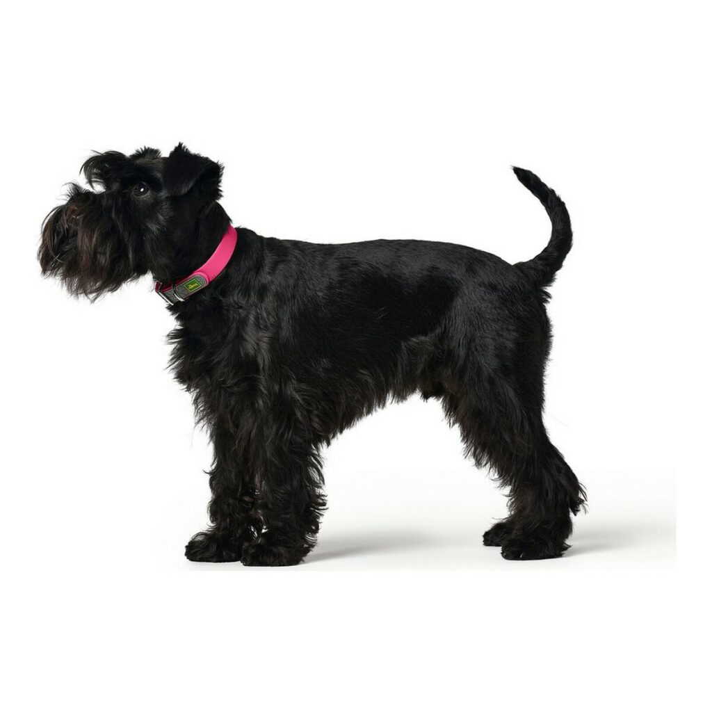 Κολλάρο Σκύλου Hunter Convenience Comfort Ροζ Μέγεθος M (37-45 cm)
