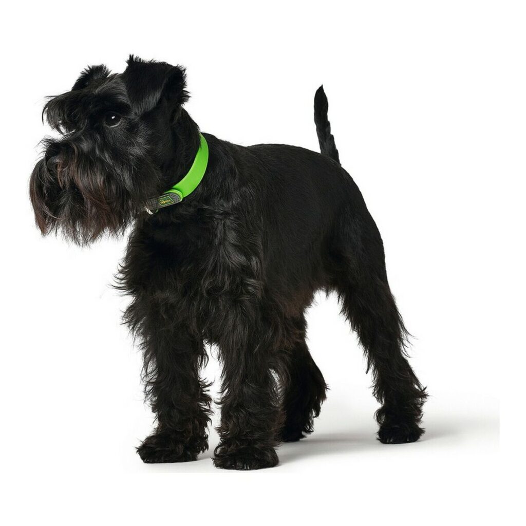 Κολλάρο Σκύλου Hunter Convenience Πράσινο Μέγεθος M/L (42-50 cm)