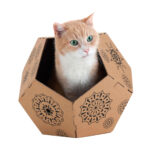 παιχνίδι για γάτες United Pets Tiger Καφέ Κουτί (45 x 47 x 38 cm)